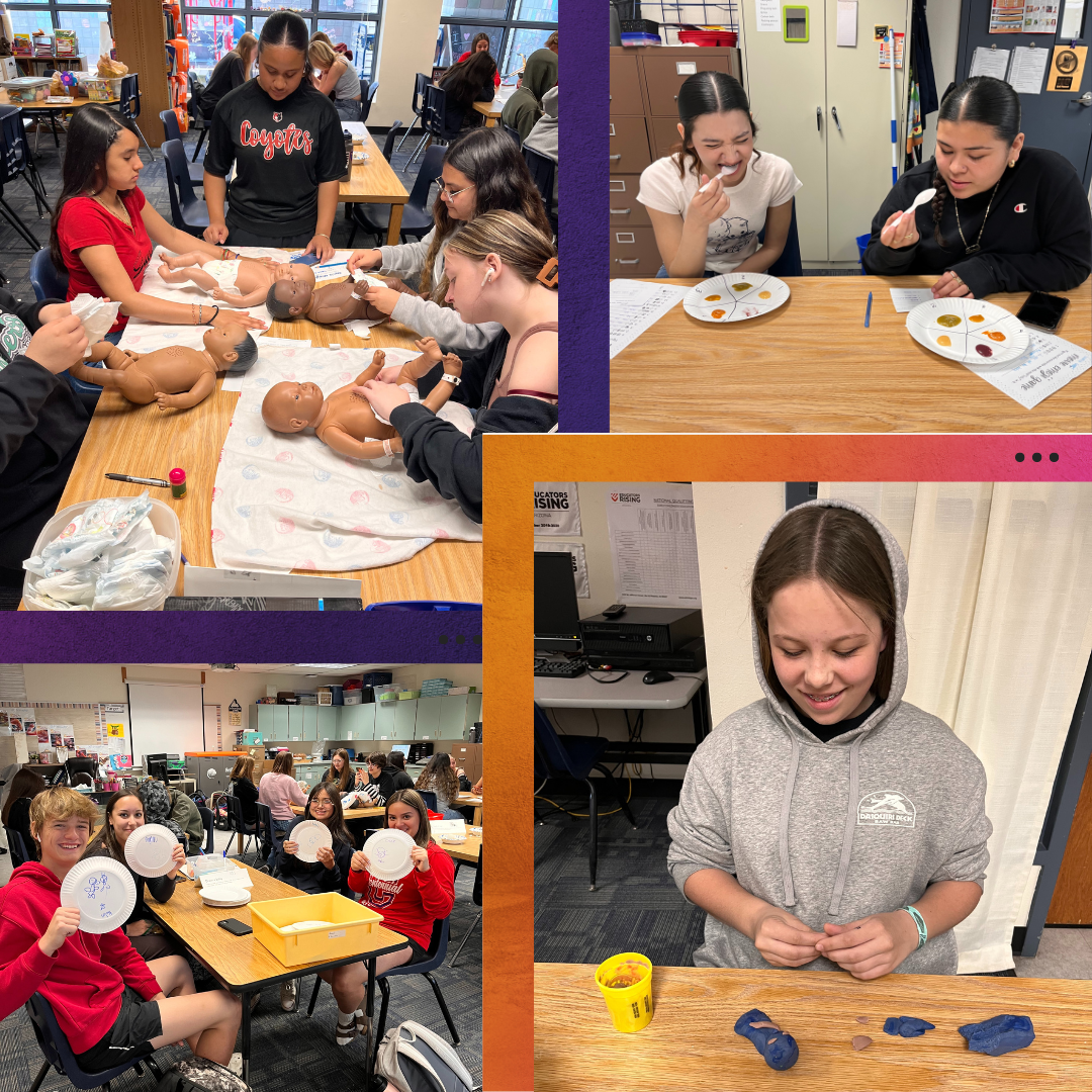 Child Development Learning